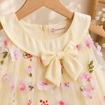 Girls 3D Floral Party Dress