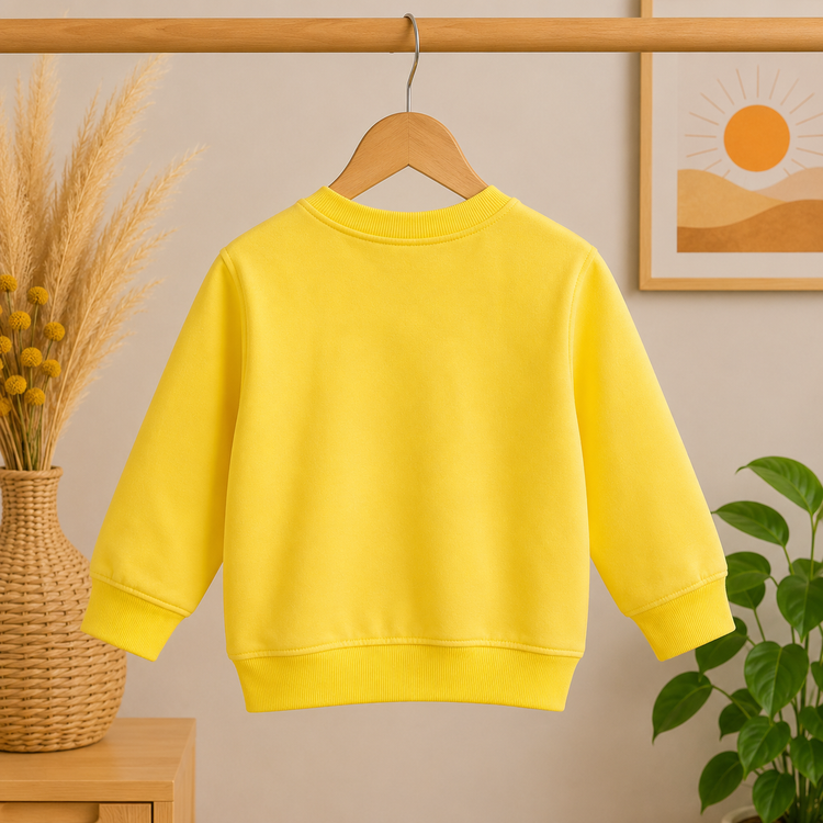 Bow Applique Full Sleeve Sweatshirt
